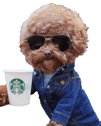 Sticker Coffee Sticker