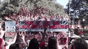 Football Spirit GIF by University of Louisiana at Lafayette