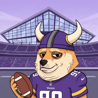 American Football GIF by Doge Pound
