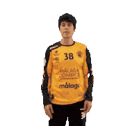 Costa Del Sol Handball Sticker by Club Balonmano Femenino Málaga Costa del Sol
