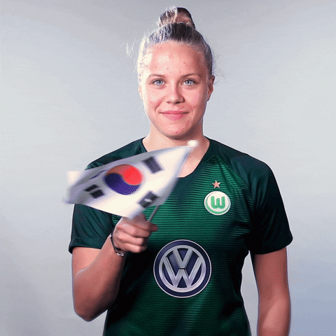 World Cup Football GIF by VfL Wolfsburg