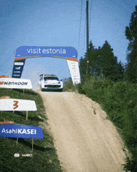 Estonia GIF by FIA World Rally Championship