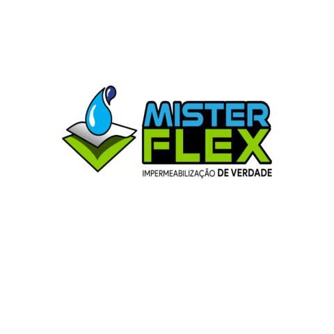 MISTERFLEX logo logo mister Sticker