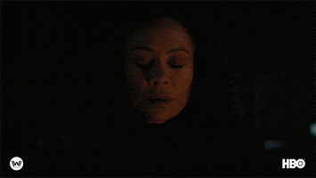 Season 4 Surprise GIF by Westworld HBO