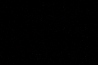 La Prima Ultras GIF
