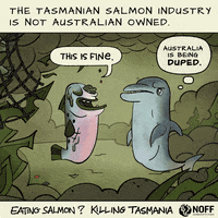 Dolphin This Is Fine GIF by NOFF Tasmania