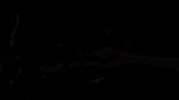 fifty shades of grey GIF