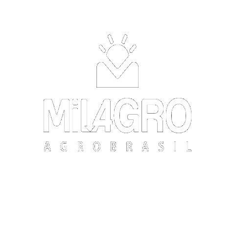 Milagrobrasil giphygifmaker milagro Sticker