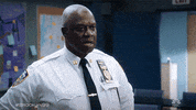 Swearing Season 7 GIF by Brooklyn Nine-Nine