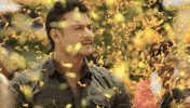 Boss Darshan GIF