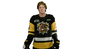 BrantfordBulldogs hockey bulldogs ohl brantford Sticker