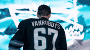 San Jose Celebration GIF by San Jose Barracuda