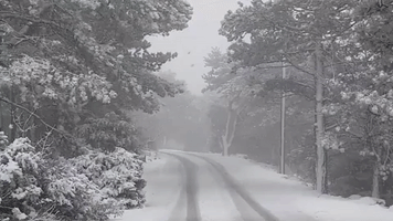 Heavy Snowfall Blankets Mountain Road in Croatia