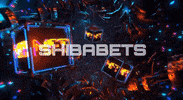 Shiba Bets GIF by SHIBABETS.GG