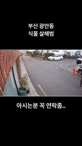 wikitree giphyupload GIF