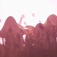 heromation happy animation party excited GIF