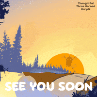 Flying See You GIF by VeeFriends