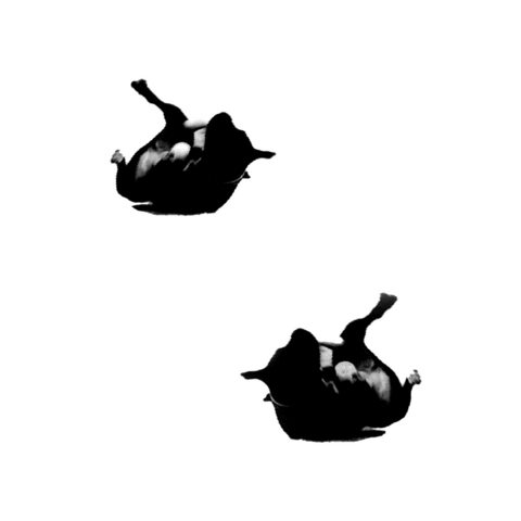 screamsushi dog roll doubledog Sticker
