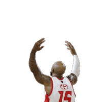 Basketball Leones Sticker by Sporter