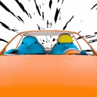 Dailybrrd GIF