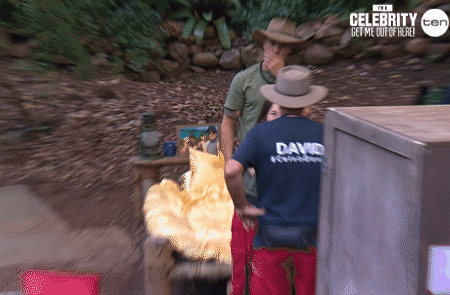 imacelebrityau GIF by I'm A Celebrity... Get Me Out Of Here! Australia
