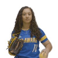 catch softball Sticker by Delaware Blue Hens