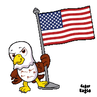 American Usa Sticker by VeeFriends