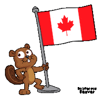 Canadian World Sticker by VeeFriends