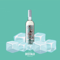 Vinho Verde GIF by Destalo Wine