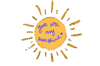 emijunnie sun you are my sunshine onoshi emijunnie Sticker