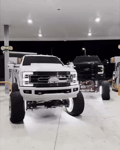 Sea Lion Truck GIF