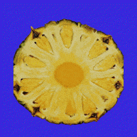 Summer Comida GIF