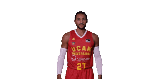 Liga Endesa Basketball Sticker by ACB