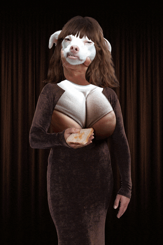 evakosinar giphyupload art dog photo GIF