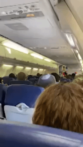 Flight Attendant Entertains Delayed Passengers With Informative Rap