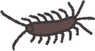 Bug Sticker