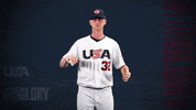Pro GIF by USA Baseball