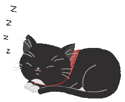 Fat Cat Sticker