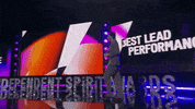 Film Independent Indie Spirit GIF by Film Independent Spirit Awards