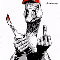 America Middle Finger GIF