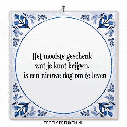 Humor Nl GIF by Tegelspreuken.nl