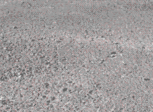 remote control GIF