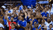 Cruzeiro Esporte Clube GIF