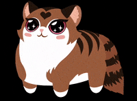 UnicornPiratesStudio cat pretty sparkle clean GIF