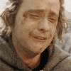 Lord Of The Rings Pippin GIF by Maudit