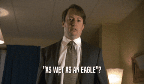 gifs_baseball giphygifmaker GIF