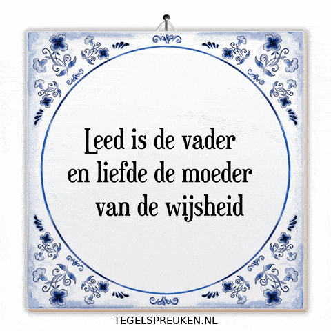 Humor Nl GIF by Tegelspreuken.nl