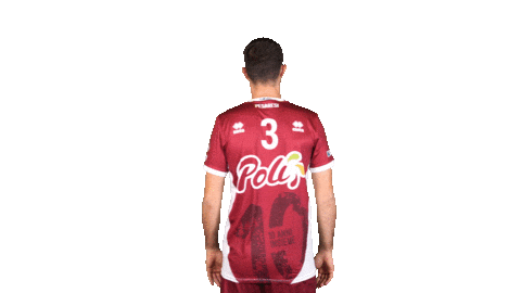 Volleyball Superlega Sticker by Trentino Volley