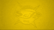 Saipa 20-21 GIF by WhiteWhale