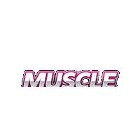 Pink Muscle Sticker by Tony Ciccone Photography